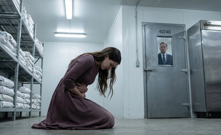 La encerró en un congelador… y el bebé eligió el peor momento para nacer