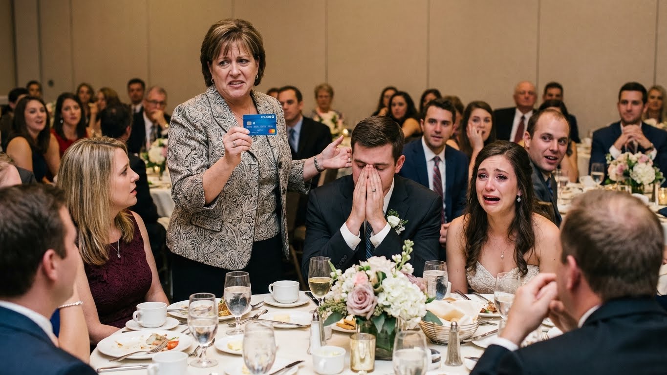 I Let Them Mock My “Cheap Dress”… Then My Business Card Hit the Table Like a Bomb