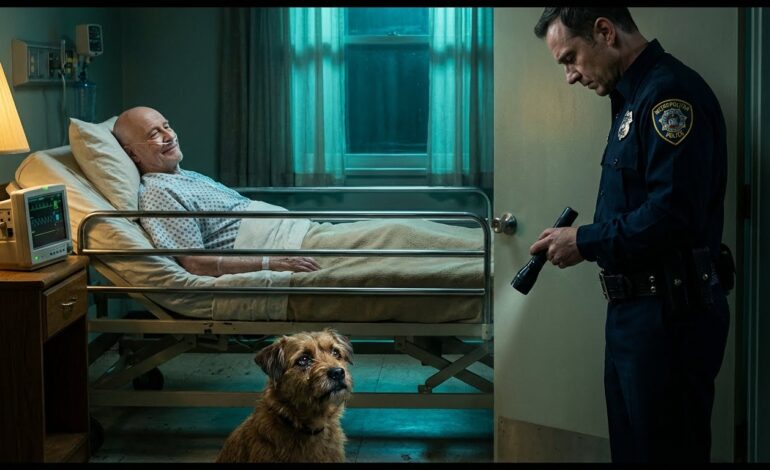 Encontraron un perro durmiendo debajo de una cama de hospital todas las noches, y la verdad hizo que un guardia adulto se derrumbara