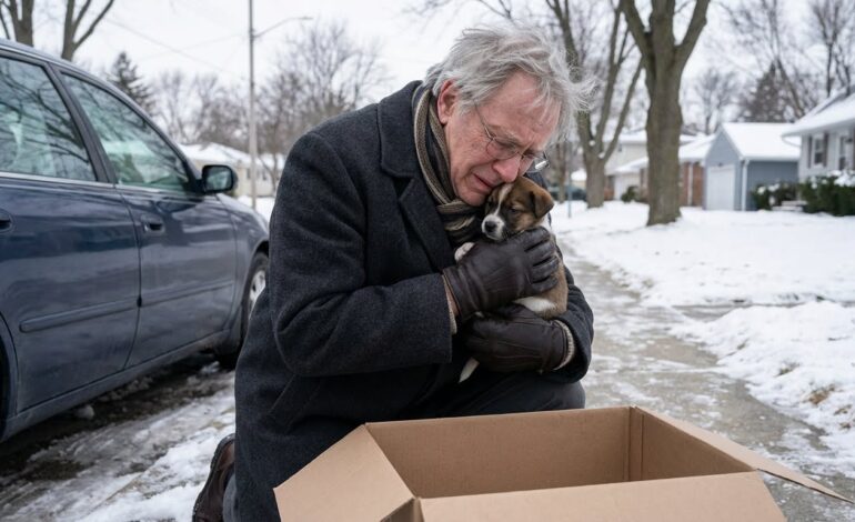 Un juez salió de su coche y encontró un perro abandonado en una caja; el momento en que lo abrazó conmovió a todo el vecindario. El juez no llamó al servicio de control de animales.