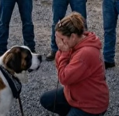 Una ragazza adolescente spaventata, scalza, si bloccò nel parcheggio di una tavola calda quando 47 enormi motociclisti tatuati si formarono improvvisamente in cerchio intorno a lei, e un cane gigante segnato dalle cicatrici si avvicinò—finché la polizia non arrivò e si rese conto che la ragazza era in realtà più al sicuro all’interno di quel cerchio.